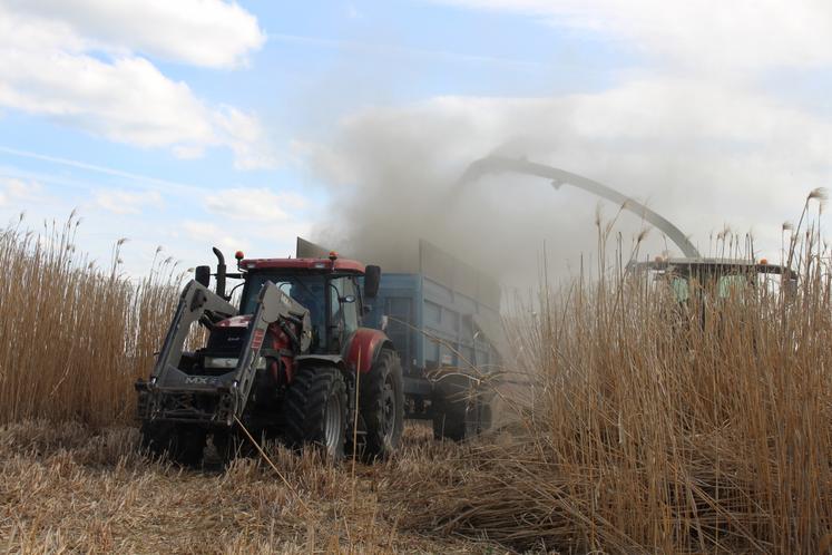 ensilage ensileuse, moisson miscanthus