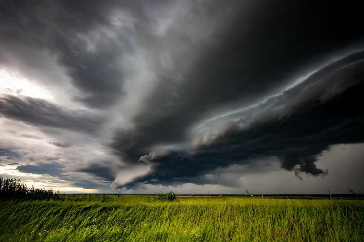 Après l'orage, une double peine pour les agriculteurs de l'Eure : les pertes de récoltes et l'urgence administrative.