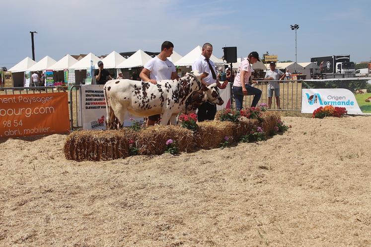 L'Eure, une terre d'élevage et d'éleveurs à préserver.