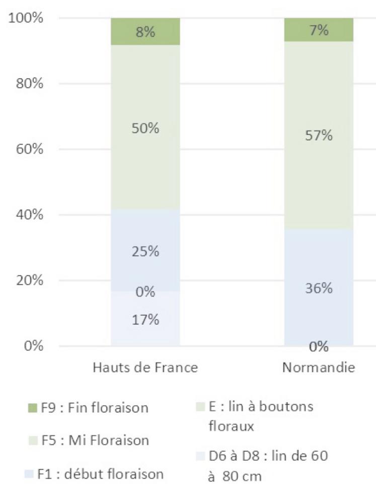 Stade des parcelles en lin fibre de printemps.