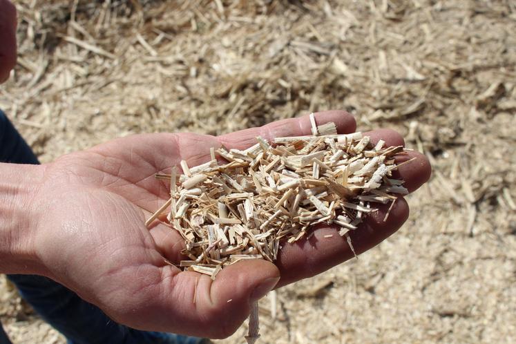 Il est proposé en copeaux de 12 ou de 26 mm.