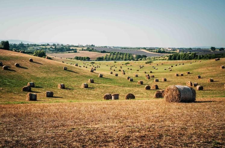 Moins d'élevage bovin et une forte hausse de la production végétale au cours de ces 45 dernières années.