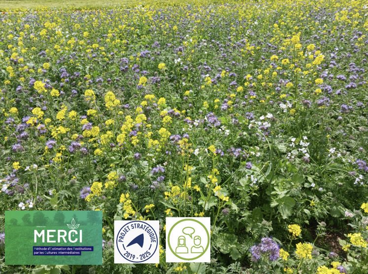 "Merci" est une méthode "de terrain" qui se veut facile d'utilisation et rapidement opérationnelle. Elle a été développée en 2010 par la Chambre d'agriculture Nouvelle-Aquitaine et elle a été régulièrement améliorée avec de nombreux partenaires.