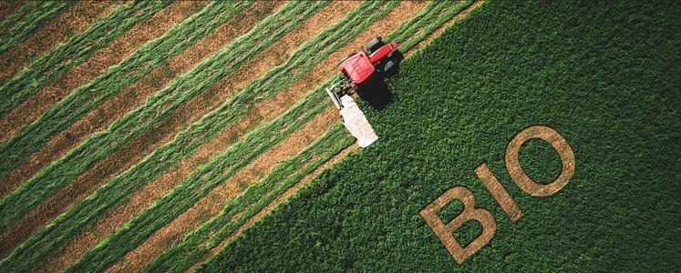 En 2023, l'agriculture biologique représentait 14 % des exploitations en France et 6 % des ventes de produits alimentaires.