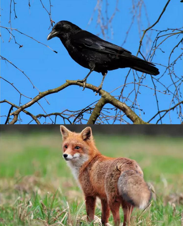 La révision du classement des ESOD - groupe 2 commence dès l'automne 2025