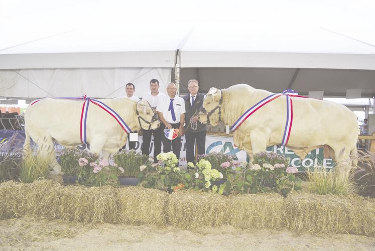Un concours de Charolais s'est déroulé durant les trois jours de festivités.
