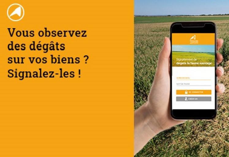 Même les dégâts des années précédentes peuvent être signalés.