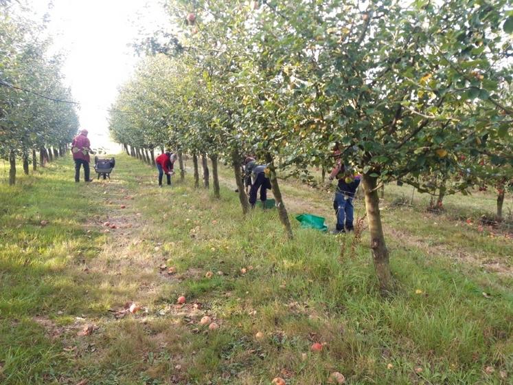 Les bénévoles ainsi que Jean-Baptiste et Emma Jacob ont apprécié travailler ensemble. Ils se retrouveront peut-être en novembre pour un second glanage.