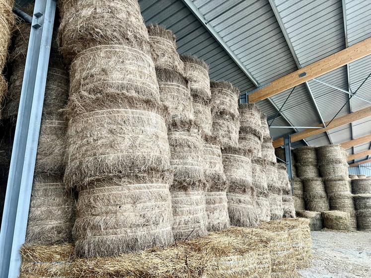 Le lin a été au cœur de la présentation par Pauline.