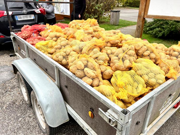 Pour l'édition 2025, 800 kilos ont été mis en filets.