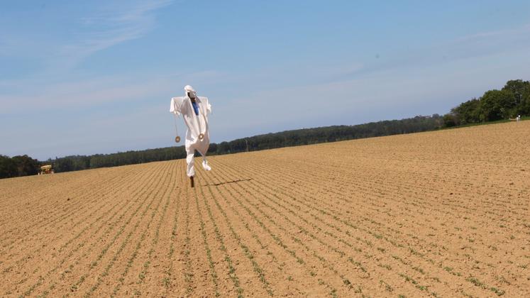 390 000 exploitations agricoles, 4 millions de propriétaires, 28 millions d'hectares de surfaces agricoles pour 168 Mrd€ de valorisation. Le foncier est une activité économique fondamentale. Dans les 10 ans à venir, 150 000 agriculteurs vont partir à la retraite dont 50 % dans les 5 ans.