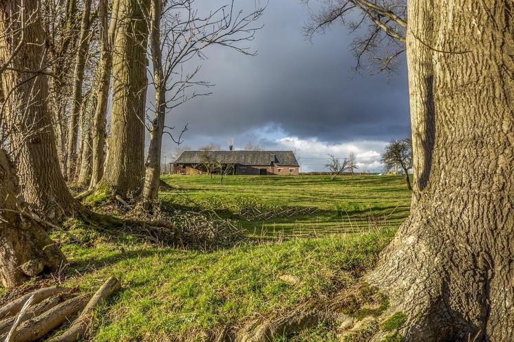 Le preneur sortant dispose d'un an à compter de la fin du bail pour réclamer une indemnisation des améliorations.