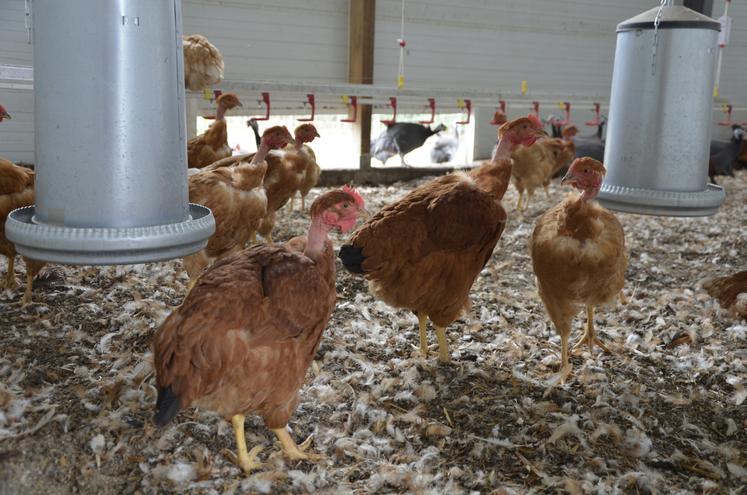 L'État a débloqué une enveloppe de 4 millions d'euros.