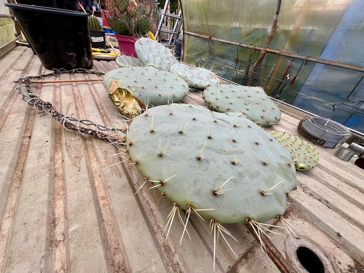 Il faudra attendre le printemps pour connaitre l'ampleur des dégâts.