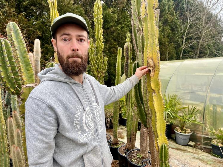 Jessy Charetiers a perdu des cactus multicentenaires