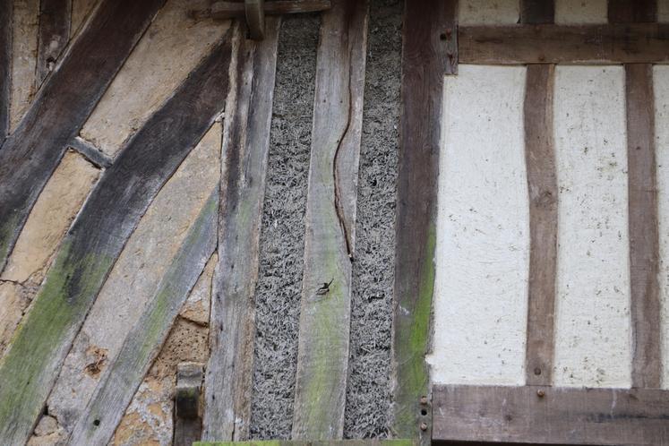 Le chanvre est "intéressant car la liaison entre les matériaux se fait, mais l'air circule".