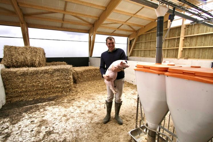 La nouvelle porcherie est faite pour un meilleur confort pour les animaux et l'éleveur.