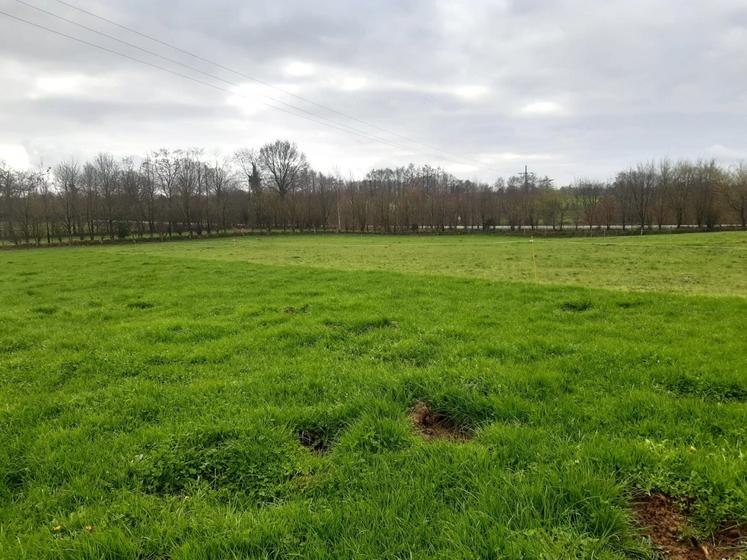 Différentiel de stock sur pied créé par le déprimage d'une parcelle.