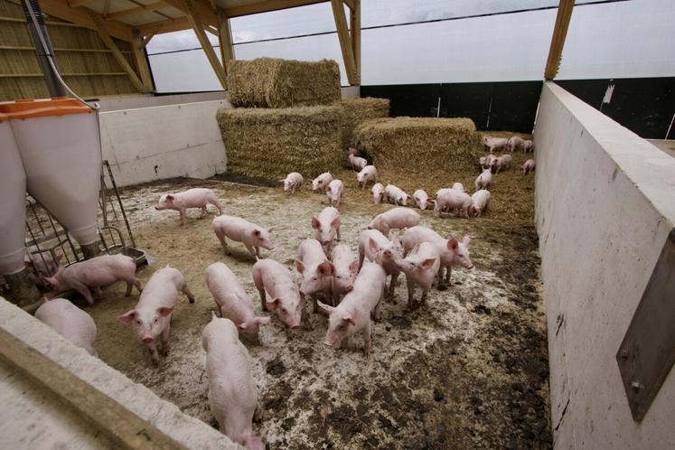 L'élevage va passer de 80 têtes à 200.