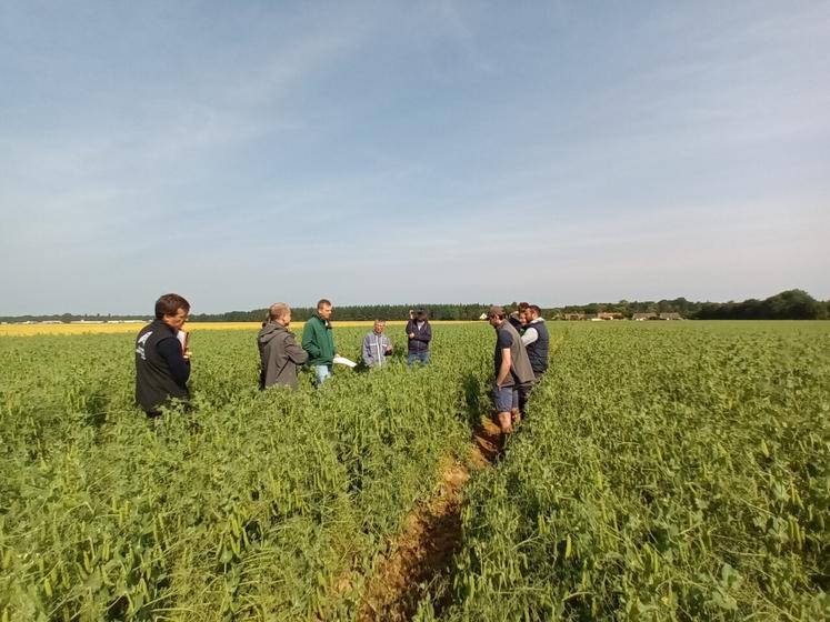 Visite des parcelles du projet avec les agriculteurs et les conseillers.