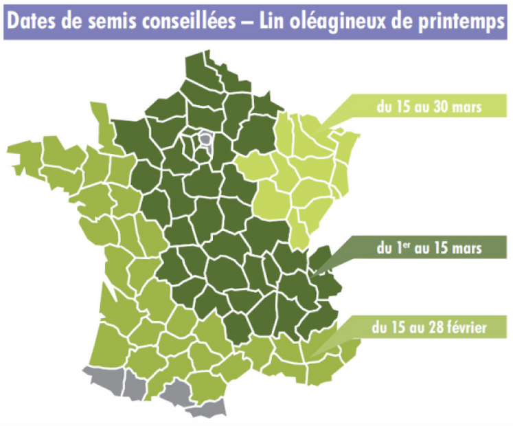 Les dates de semis conseillées.