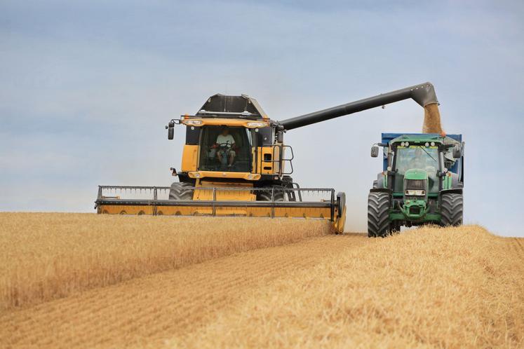 Pour le moment, l'offre mondiale de grains reste abondante, justiﬁant le maintien des cours à un niveau relativement bas.