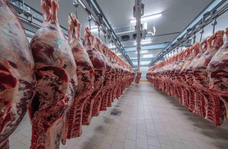 Plus de la moitié du cheptel normand est abattu hors région.