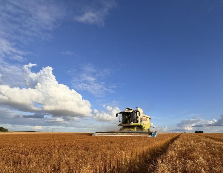 À la linière du Ressault, le strippage représente 90 % (900 ha sur 1 000 ha jusqu'en Eure-et-Loir) de la récolte de semence de lin. Derrière : simplement un semis direct de blé, autre avantage.