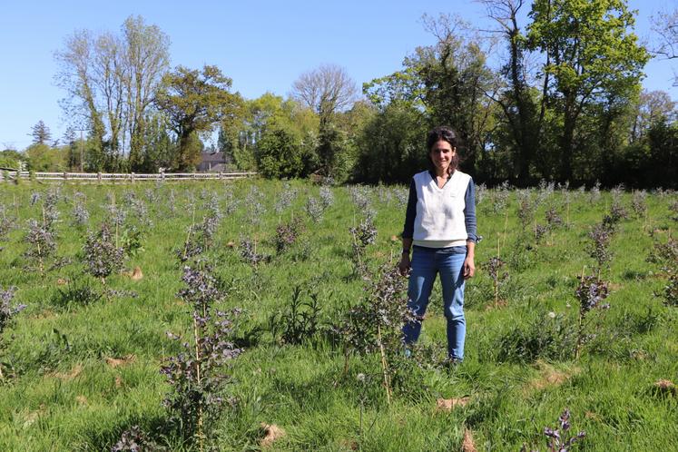 Victoria Briend le clame haut et fort : "Je veux pouvoir entreprendre dans le milieu agricole comme dans n'importe quel secteur". Avec Parsème, c'est un vrai "challenge intellectuel" que de monter une filière de feuillages locaux pour approvisionner les fleuristes et grossistes. "C'est un modèle qui sort des sentiers battus !"