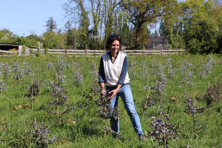 Parsème Victoria Briend rencontre floriculture feuillages Bessin