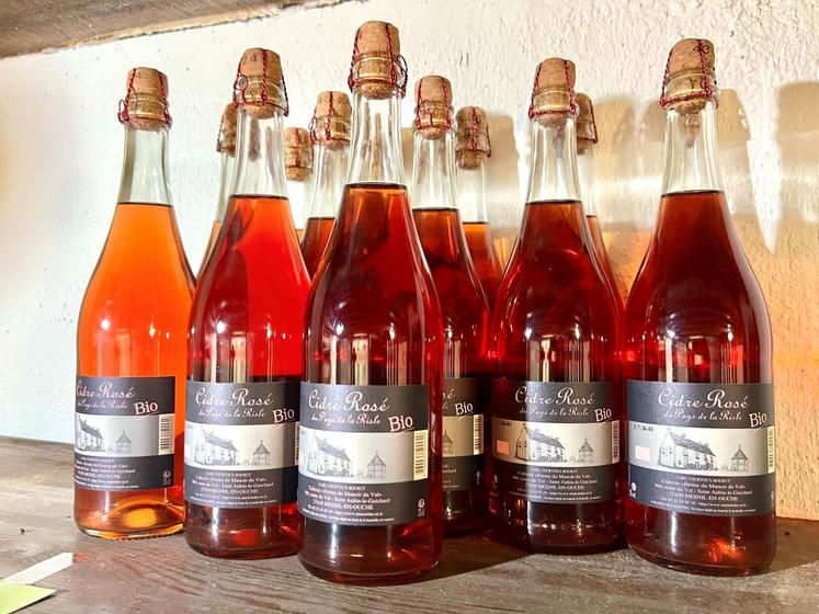 Des pommiers à chair rouge ont été plantés pour obtenir un cidre rosé.