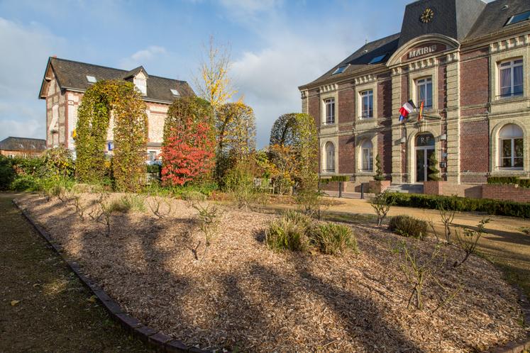 Un massif arbustif paillé avec du miscanthus dans une commune de Seine-Maritime.