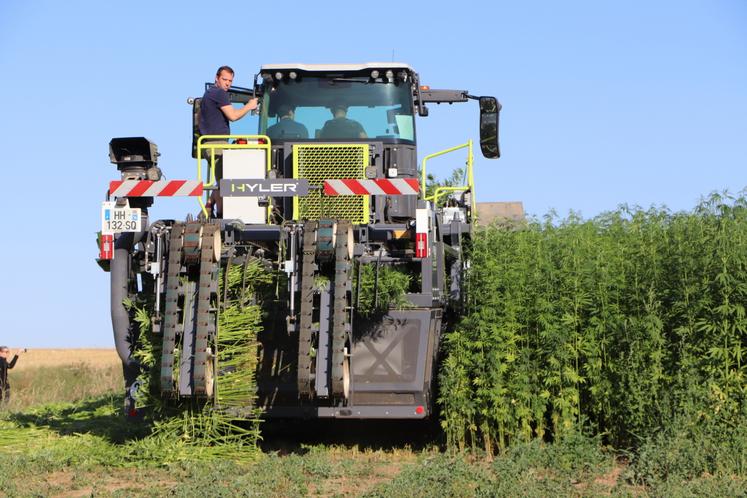 Pour la campagne 2026, 2 000 ha de chanvre textile ont été semés sur le bassin, de Bayeux à Dunkerque. Le fauchage est lancé depuis quelques jours dans l'Eure par exemple.