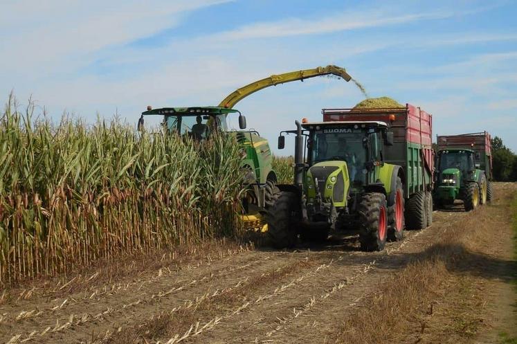Plusieurs céréaliers mettent leurs parcelles à disposition d'éleveurs. Un geste d'entraide bienvenu.