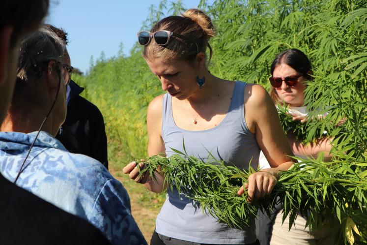"C'est important de faire des programmes d'évaluation dans la durée. Il faut des parcelles suffisamment grandes", note Nathalie Revol, au côté de Marjorie Saindon (ici en photo), sélectionneuse chez le semencier Hemp-it.