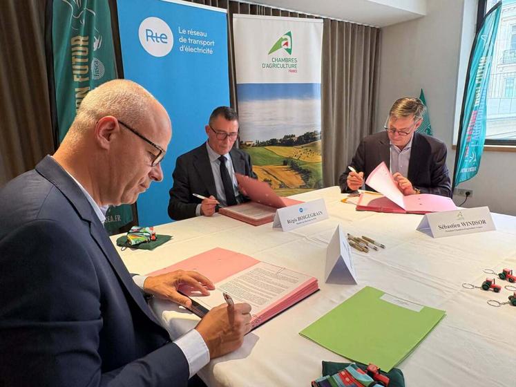 Fruit d'une mobilisation syndicale déterminée, cet accord marque une avancée majeure pour les exploitants agricoles concernés par les nouvelles lignes à haute tension.