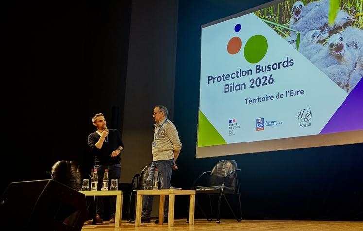 Bilan de la protection des busards dans l'Eure animé par Anthony Le Pennec de la DDTM de l'Eure.