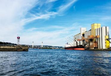 Le grand port maritime de Rouen peut stocker jusqu’à
900 000 tonnes de céréales.