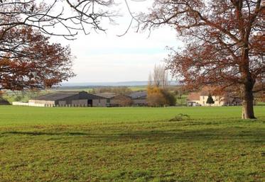 Avoir un parcellaire regroupé autour de son siège d'exploitation est un atout fort de compétitivité et de fonctionnement.