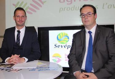 Aurélien Caurier (directeur) et Jérôme Charpentier (président de Sevépi) : « nous poursuivons notre stratégie d’optimisation de nos charges grâce notamment à nos investissements récents qui permettent des économies substantielles ».