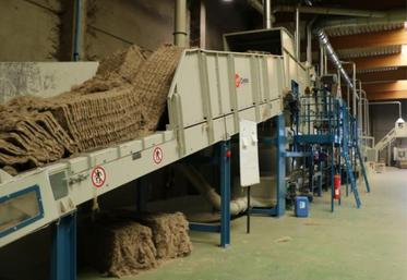 La ligne de teillage à étoupes est installée à la linière du Ressault, au Neubourg