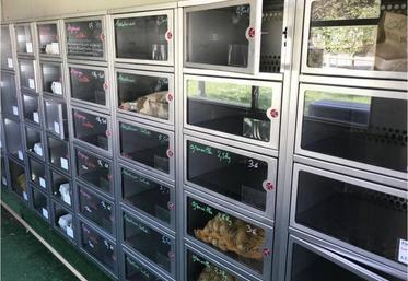 Les asperges de Nicolas Bourgeois sont en vente
dans les casiers du distributeur automatique de Saint-
Pierre-la-Garenne.