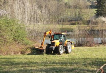 Les débroussailleuses à rotor présentent le plus faible
coût horaire d’utilisation, mais elles doivent intervenir plus
fréquemment que les lamiers ou sécateurs.