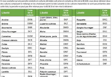 En cas d’implantation d’un sous-semis d’herbe ou de légumineuses en culture dérobée, une seule culture doit être déclarée, il n’y a
pas de deuxième culture déclarée.