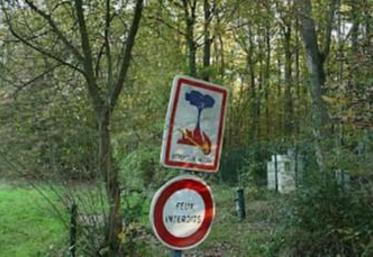 Débroussailler pour renforcer la prévention et la lutte contre
les risques d’incendie.