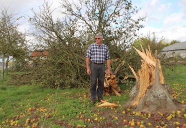 Chez Franck Guesdon, une cinquantaine d'arbres (pommiers et poiriers) à terre. Ils viennent s'ajouter aux dégâts de 1999.