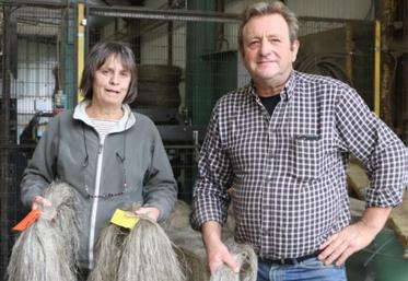 Nathalie Revol, chargée de mission au sein de l’association Lin
et chanvre bio (LCBio) et Henri Pomikal, liniculteur près de Caen
dans le Calvados