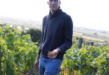 D'ici quelques semaines, François Lecourt devra attaquer la taille des pieds de vigne : « les vendanges ne sont pas la si grosse étape. Le gros du travail, c'est toute l'année ».