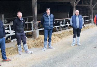 Jean-Michel Leroy et François Capelle (éleveurs
de génisses), Thierry Hulmer (président de Littoral Normand), Jean-Michel Cuminet (vétérinaire-conseil et référent génisses Littoral Normand), Benoît Colombel (responsable de projets Littoral Normand).