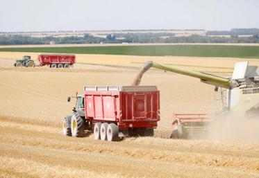 Les besoins en grains ne devraient pas faiblir en 2022-2023.